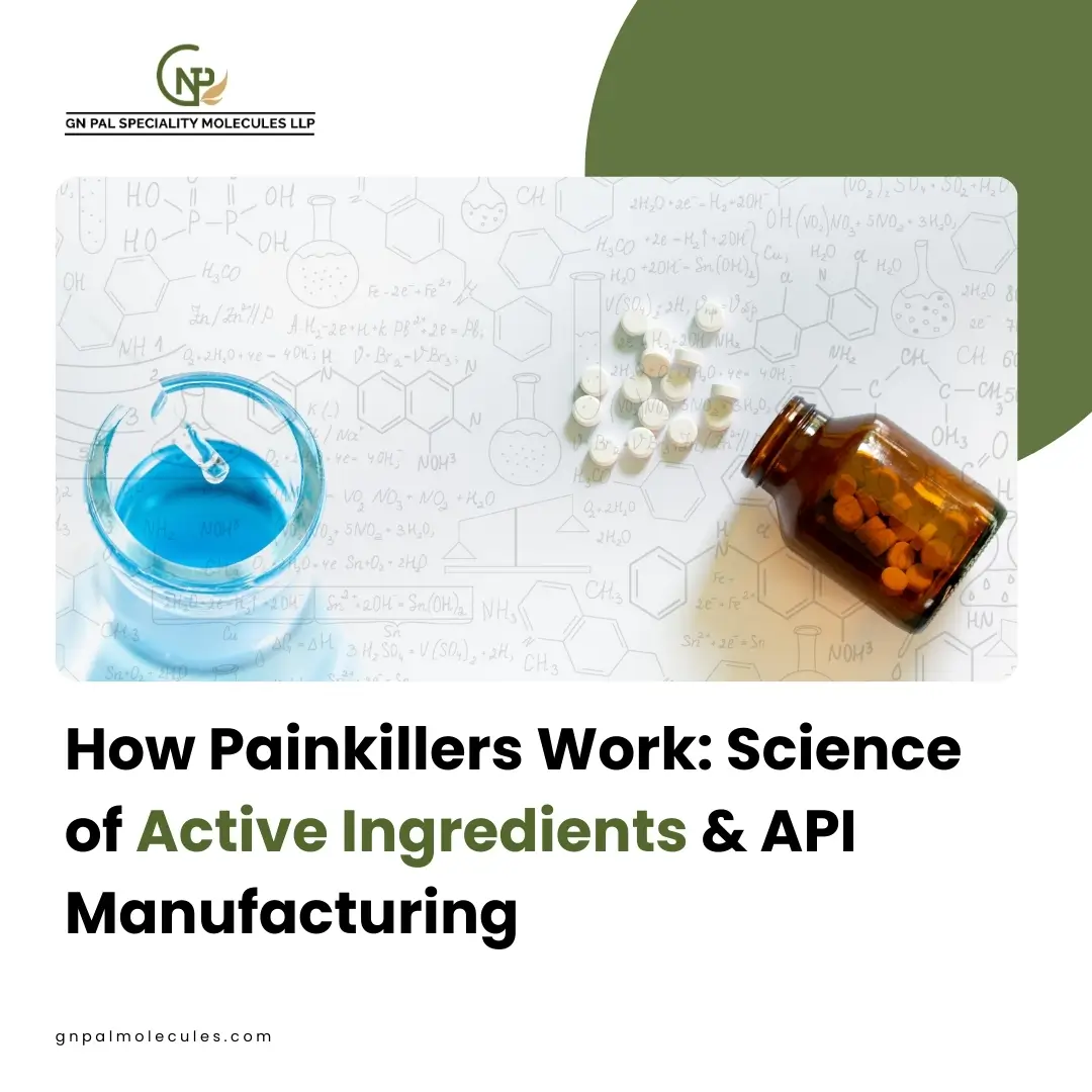 API Manufacturing India